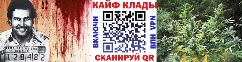 Где можно купить наркотики Казань ГАШИШ  КОКАИН  БУТИРАТ  Меф  Псилоцибиновые грибы 