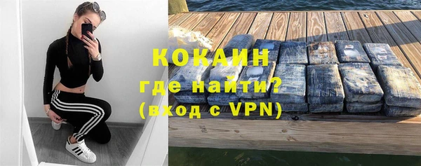 гашик Богданович