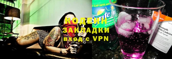 гашик Богданович